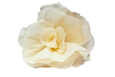 Similar image 1413961