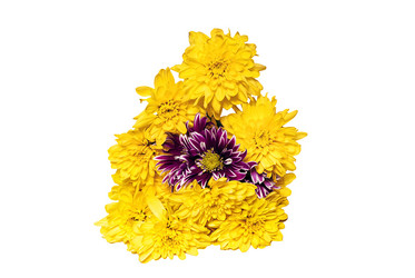 Similar image 1413967