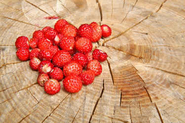 Similar image 1413978