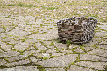 Similar image 1413992