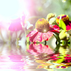 Similar image 1414000