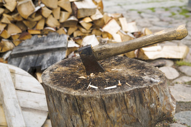 Similar image 1414007