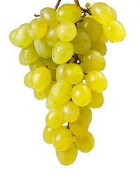 Similar image 1414155