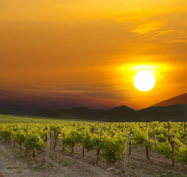 Similar image 1414189