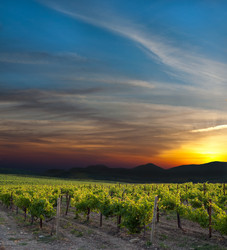 Similar image 1414190