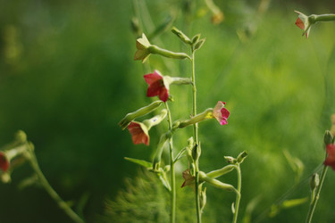 Similar image 1414216