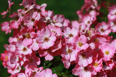 Similar image 1414219