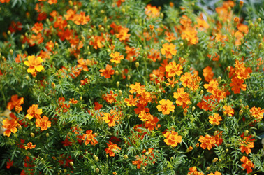 Similar image 1414220