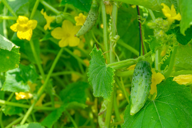 Similar image 1414233