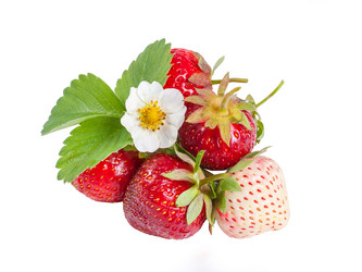 Similar image 1414236