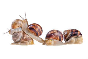 Similar image 1414261