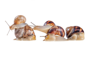 Similar image 1414270