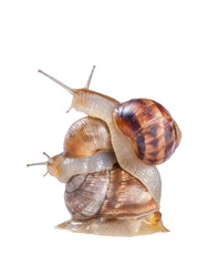 Similar image 1414272