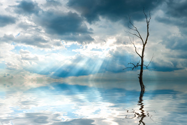 Similar image 1414273