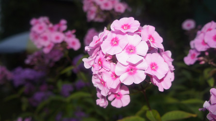 Similar image 1414274