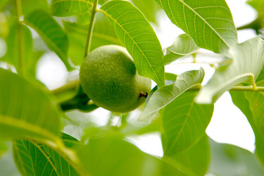 Similar image 1414362