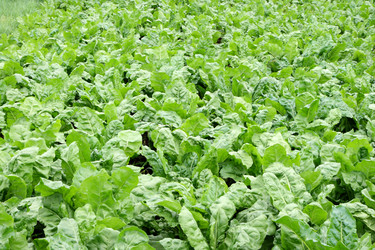 Similar image 1414372