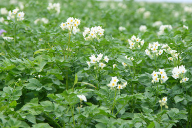 Similar image 1414374