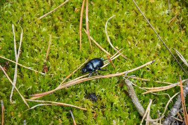 Similar image 1414392