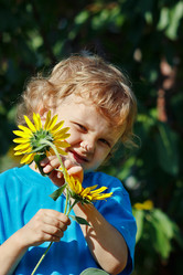 Similar image 1414438