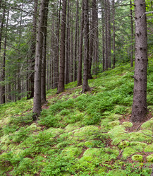 Similar image 1414539