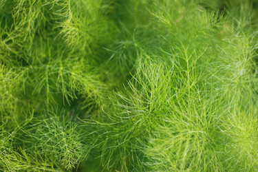 Similar image 1414542