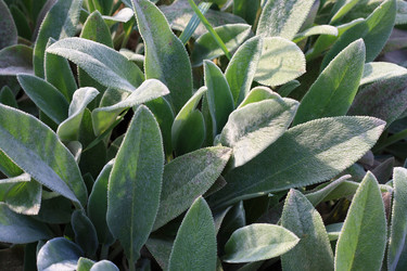 Similar image 1414543