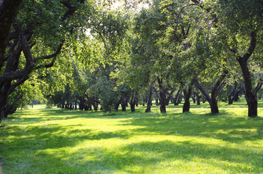 Similar image 1414544