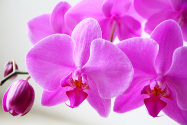 Similar image 1414582