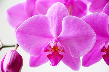 Similar image 1414583