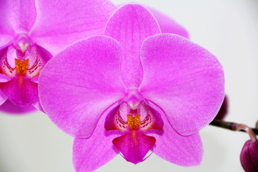 Similar image 1414595