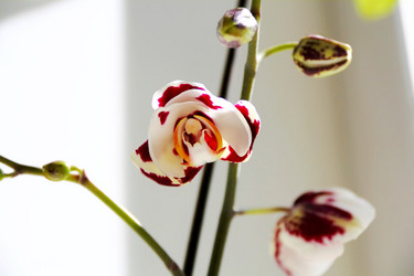 Similar image 1414597