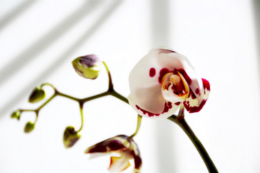 Similar image 1414599