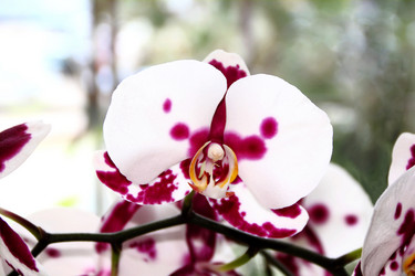 Similar image 1414600