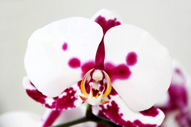 Similar image 1414607