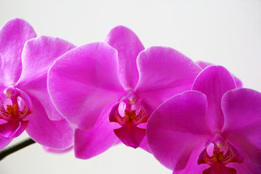 Similar image 1414609