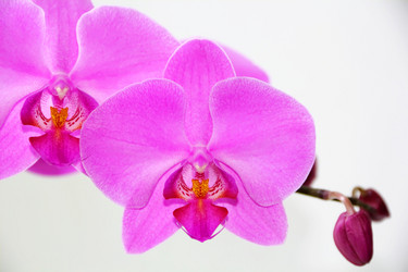 Similar image 1414610