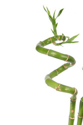 Similar image 1414631