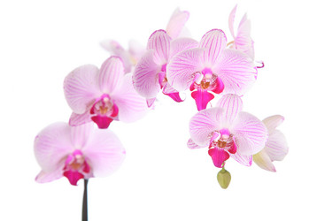 Similar image 1414632