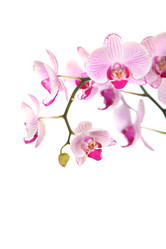 Similar image 1414633