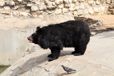 Similar image 1414636