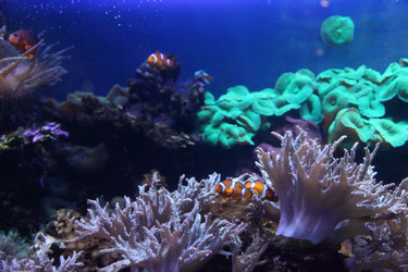 Similar image 1414637