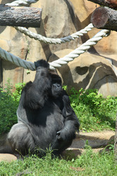 Similar image 1414638