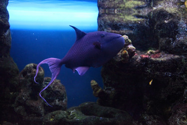 Similar image 1414639