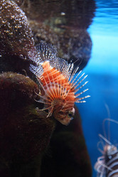 Similar image 1414641