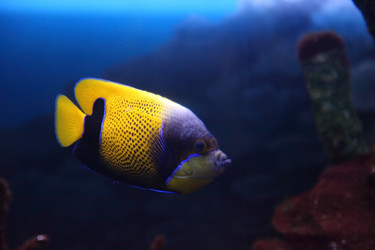 Similar image 1414646