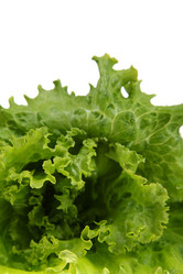 Similar image 1414671