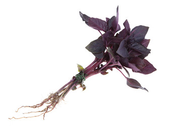 Similar image 1414672