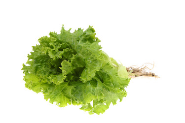 Similar image 1414673