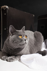 Similar image 1414675